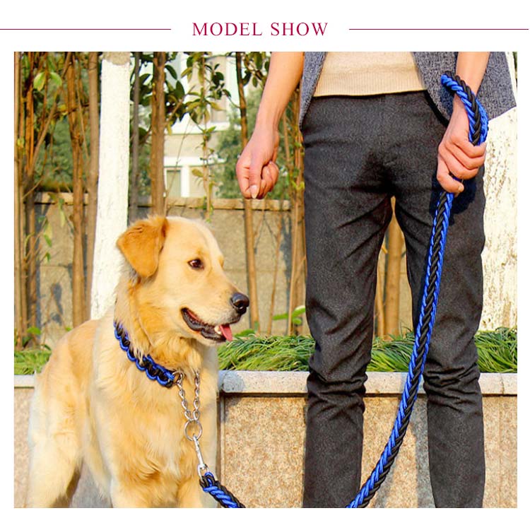 リード 首輪 2点セット 犬 首輪セット リードセット 小型犬 中型犬 大型犬 太く 頑丈 犬用リード 散歩 お出かけ しつけ ペット 極太 編み紐 噛み癖 防止 ドッググッズ ペット用 お