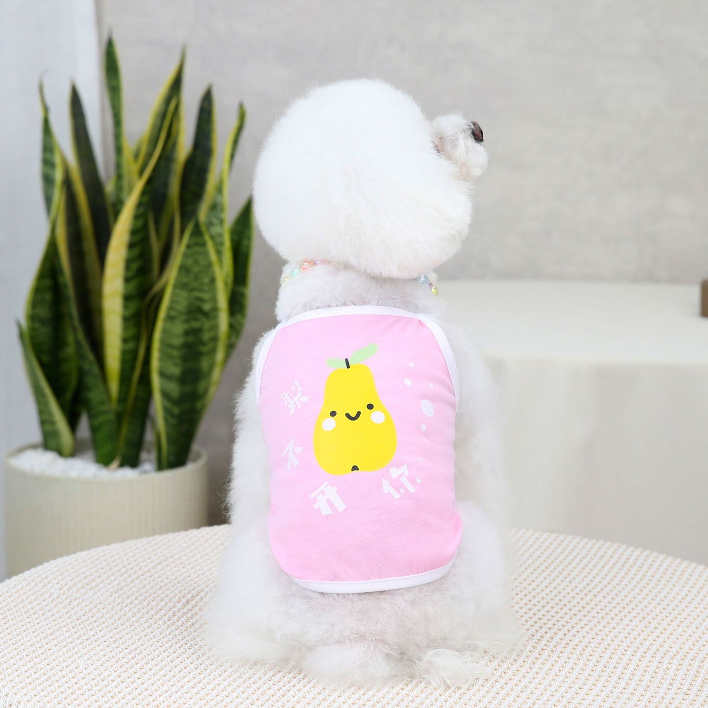 猫 犬 洋服 犬服 ペット服 大中小型犬 ペット用品 犬/猫用 犬の服 ペットウエア 小型犬 中型犬 通気 可愛い ドッグウェア トレーナー 犬 服 ワンピース サロペット ビションフリーゼ 犬猫服