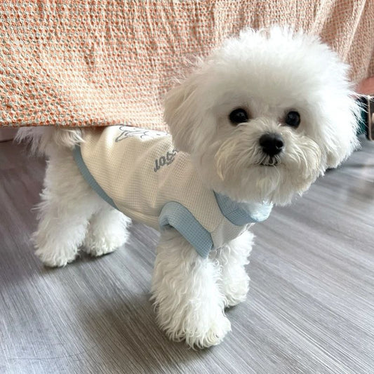 かわいいペットの服犬の服衝突色ベスト春夏新スタイル