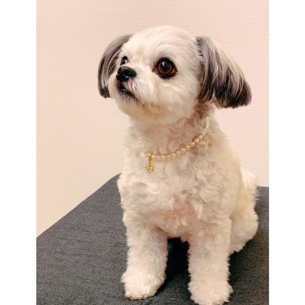 <a href="https://www.qoo10.jp/gmkt.inc/Search/brand.aspx?brandno=121124" target="_blank" class="title_brand" id="btn_brand" title="MELODY ACCESSORY">MELODY ACCESSORY</a>K18GP ペット ハート 犬用 ネックレス 首輪 チョーカー 犬 いぬ DOG ねこ 猫 ペット 小型犬 中型犬 かわいい トイプードル チワワ ポメラニアン ヨークシャ