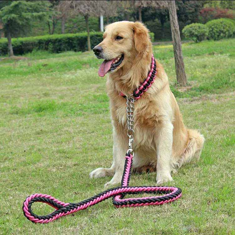 リード 首輪 2点セット 犬 首輪セット リードセット 小型犬 中型犬 大型犬 太く 頑丈 犬用リード 散歩 お出かけ しつけ ペット 極太 編み紐 噛み癖 防止 ドッググッズ ペット用 お