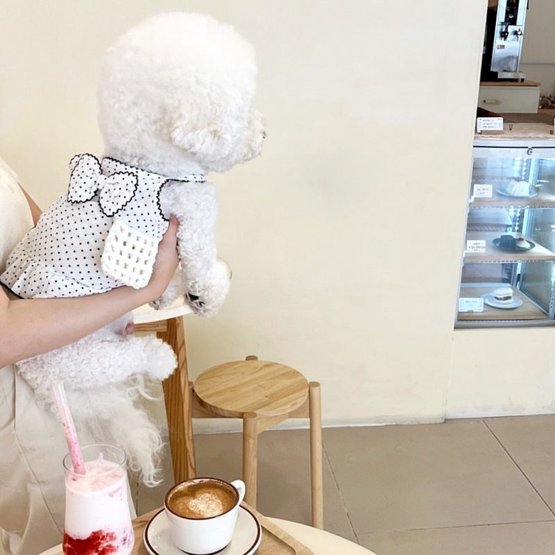 [犬 服]犬 洋服 ins人気商品 夏の薄いペットスカート猫猫子犬犬服夏