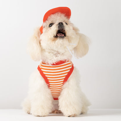 犬 洋服 春夏犬服ボーダーベスト帽子リードスリング小型犬猫ペット服