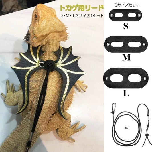 メガ割爬虫類 トカゲ 散歩 リード クリックポスト