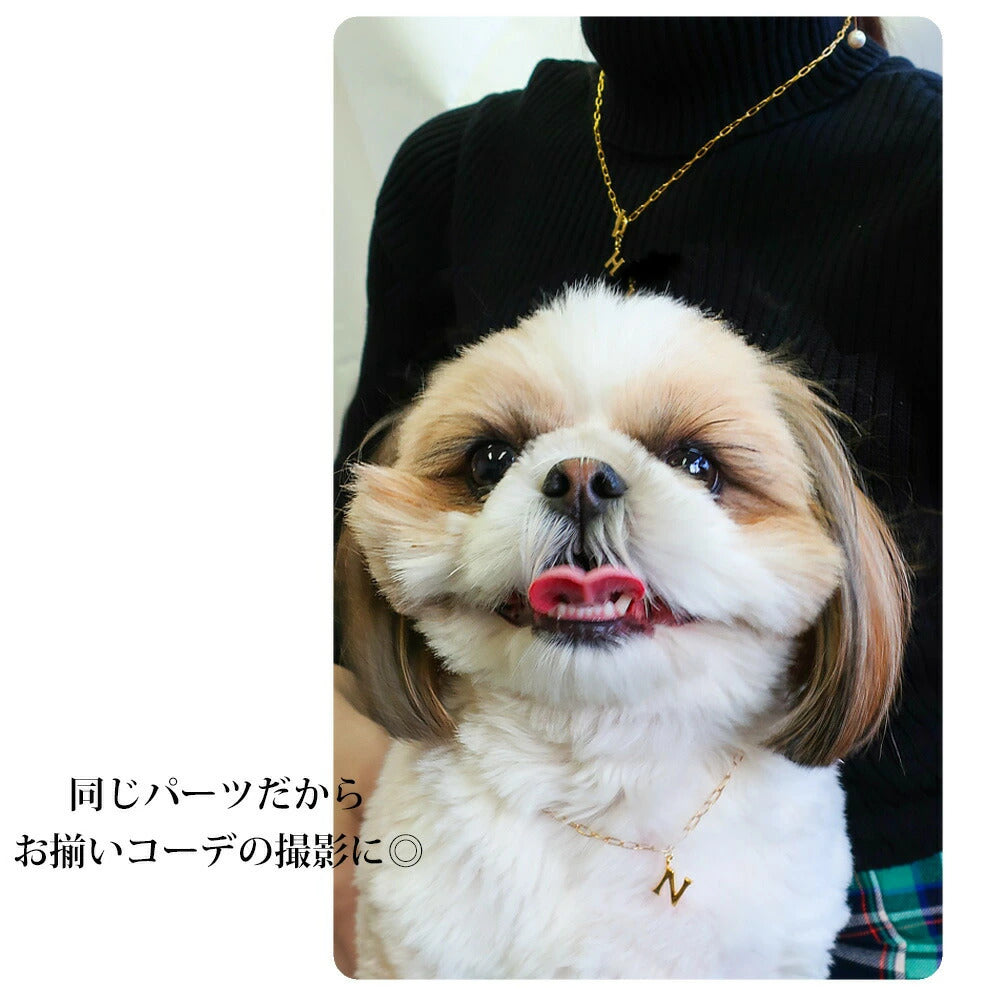 <a href="https://www.qoo10.jp/gmkt.inc/Search/brand.aspx?brandno=121124" target="_blank" class="title_brand" id="btn_brand" title="MELODY ACCESSORY">MELODY ACCESSORY</a>K18GP 送料無料 ドッグアクセサリー 犬用 ネックレス 首輪 イニシャル 英字 チョーカー 犬 いぬ DOG ねこ 猫 ペット チェーン ペットアクセサリー シンプル