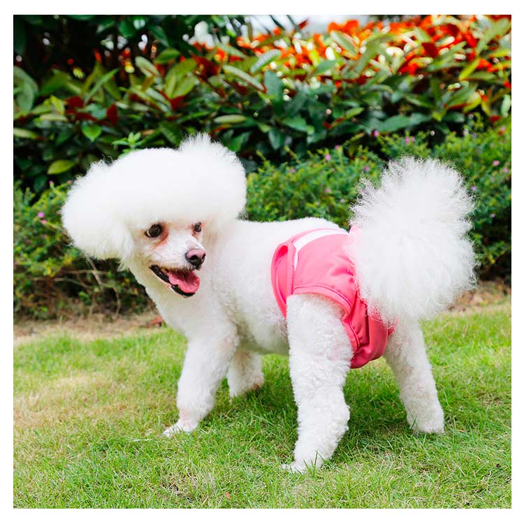 犬 マナーベルト マナーパンツ マナーバンド おむつカバー しつけ マーキング防止 トイレ 介護 女の子用 シニア犬 高齢犬 消臭 かぶれ 嫌がる 去勢 交配 散歩 避妊 オシッコ対策 マナー ズレ防