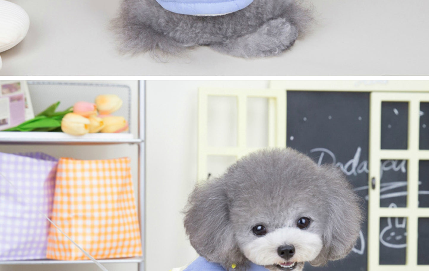 猫 犬 洋服 犬服 ペット服 大中小型犬 ペット用品 犬/猫用 犬の服 ペットウエア 小型犬 中型犬 通気 可愛い ドッグウェア トレーナー 犬 服 ワンピース サロペット ビションフリーゼ 犬猫服