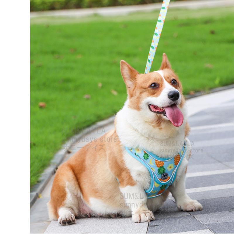 ソフトハーネス 犬用 犬 柴犬 快適 脱げない ソフトパッド 老犬 ハーネス 犬 痛くない メッシュ 簡単装着 犬 おしゃれ 通気性 抜けない ハーネス ハーネス 胴輪