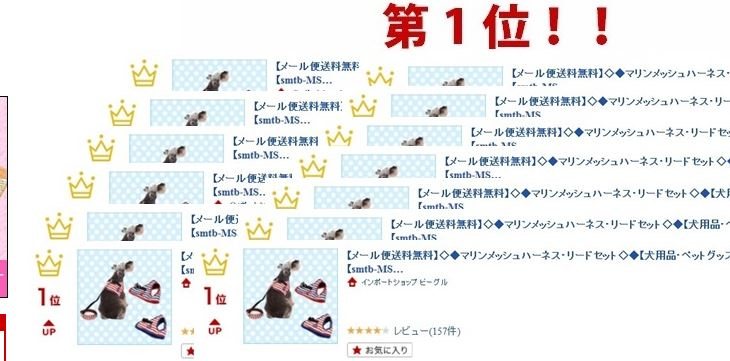 メッシュハーネス＆リードセット 選べる9タイプ