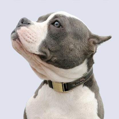 猫 小型犬 ペットグッズ 犬 2重ロック 痛くない 首輪 中型犬 レザー マイクロファイバー ドッグ ペット