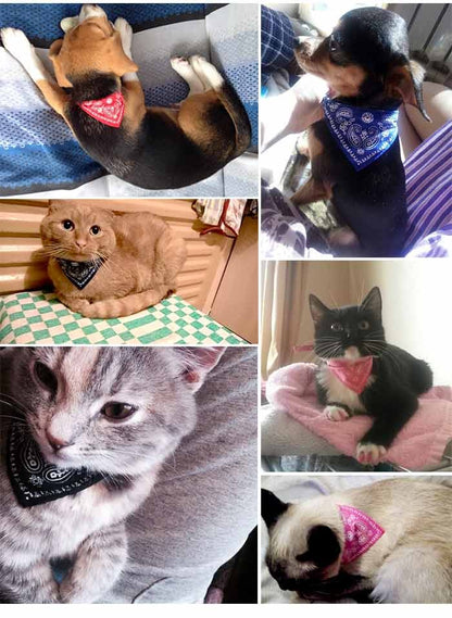 スタイル バンダナ ペット 服 犬 猫 首輪 ペットグッズ ベイズリー スカーフ キャット ドッグ