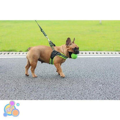 ハーネス 犬 おしゃれ 小型犬 大型犬 中型犬 犬のハーネスリード 脱げない 発光バンド 散歩 首輪 ペット用品