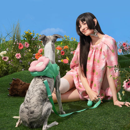 ベトレスカ ハーネス フローラ ハーネスリード リュックセット 可愛い 犬用散歩 トレーニング用 調節可能 咳き込み軽減 簡単なコントロール 抜けない 通気性 簡単着脱 おしゃれ 柔らかなパッド ペッ