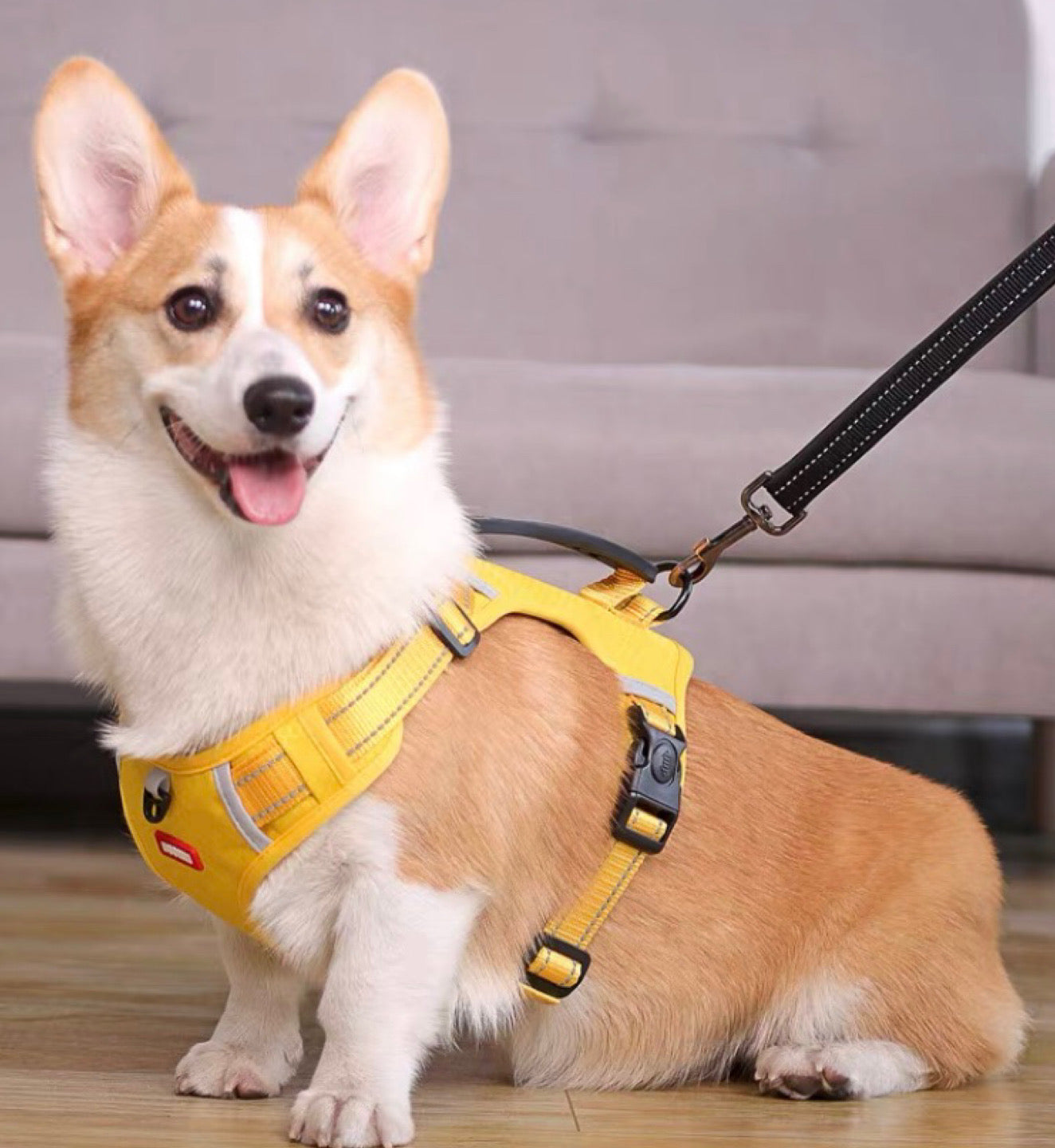 ステップハーネス ロック 大型犬 抜けない M 介護用 柴犬 小型犬 抜けにくい 犬 XS ハーネス ハンドル付き 中型犬 ウェアハーネス S L 負担の少ない