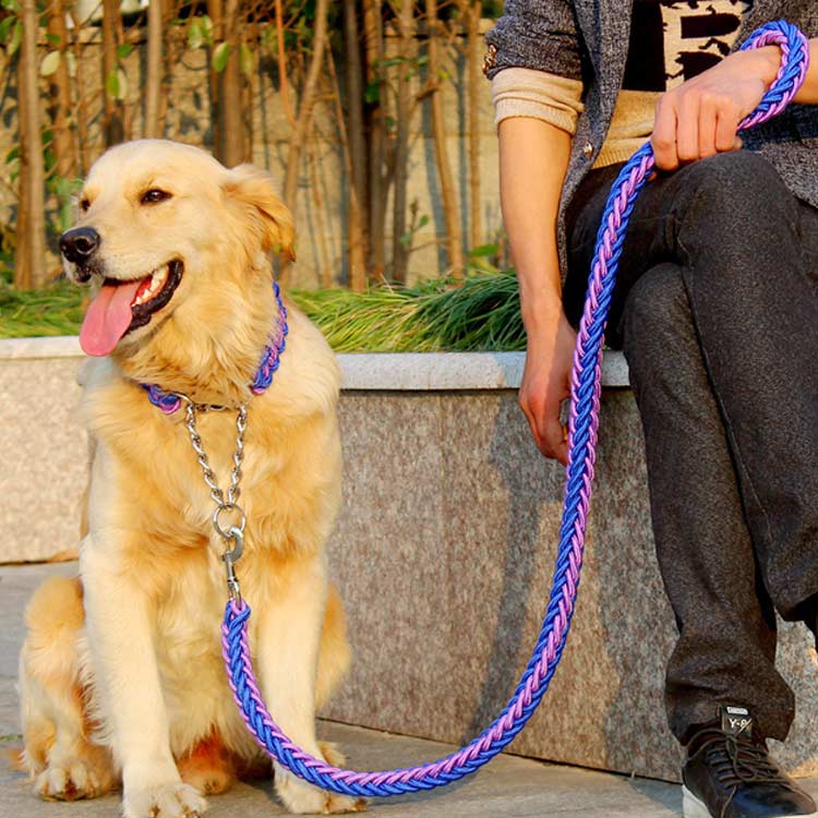 送料無料 リード 首輪 2点セット 犬 首輪セット リードセット 小型犬 中型犬 大型犬 太く 頑丈 丈夫 犬用リード 極太 編み紐 噛み癖 防止 ドッググッズ 散歩 お出かけ しつけ ペット ペット