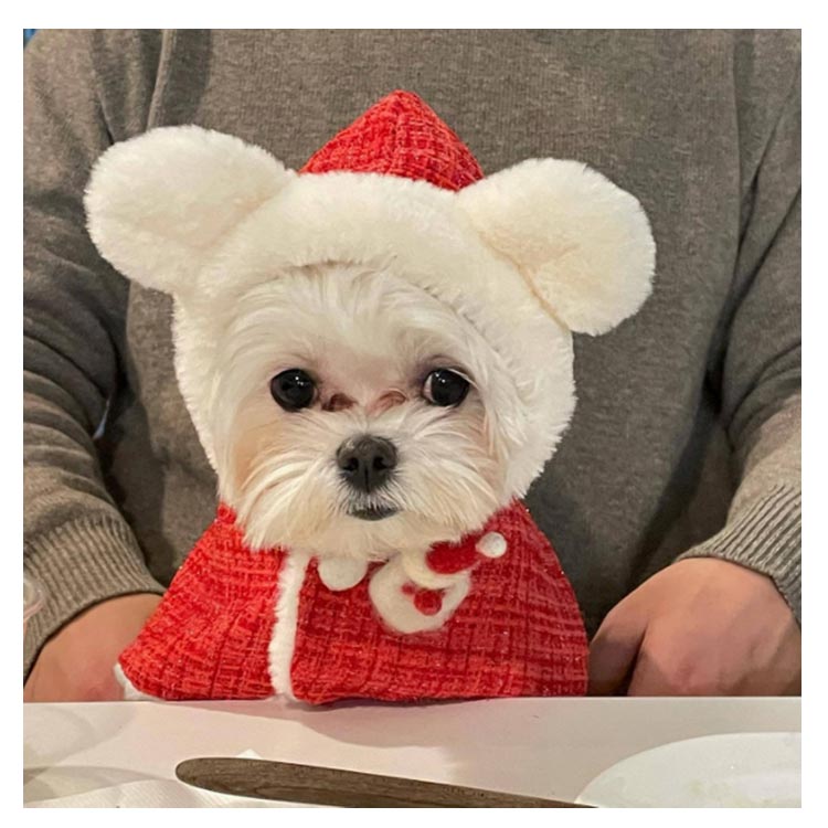 売れ 犬の服 クリスマス クリスマス 猫 フード付き 服 犬 犬服 ペット服 猫服 サンタさん コスチューム 着ぐるみ 犬服 クリスマスマント 犬用 猫用 マント マント サンタローブ コスプレ サン