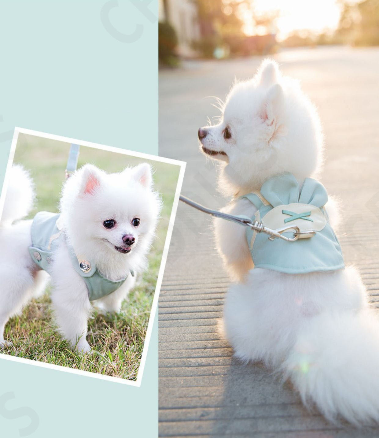 <a href="https://www.qoo10.jp/gmkt.inc/Search/brand.aspx?brandno=107992" target="_blank" class="title_brand" id="btn_brand" title="CPDDITS">CPDDITS</a>犬 猫 ハーネス リードセット ベスト ペット 胴輪 ふっくら生地 服 キャット ドッグ メッシュ