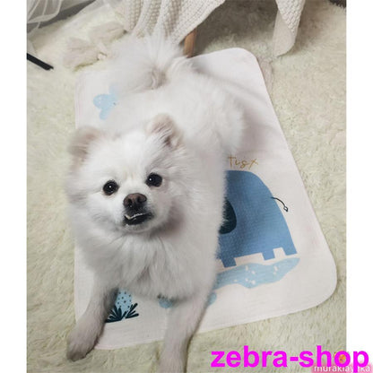 2-5日出荷 新品推奨 ペットシーツ トイレシート ペット用品 トイレマット 猫 犬 洗える ペットシート おしっこマット 滑り止め 速乾 漏れ防止 吸水 薄型 ポイントを進呈する