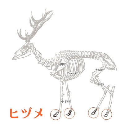 エゾシカ ヒヅメ 4個入 ルークラン