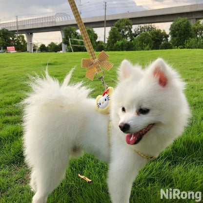 メガ割犬牽引ロープベスト式アニメ屋外散歩犬牽引ロープ小型中型犬犬チェーン犬ロープテディ博美973