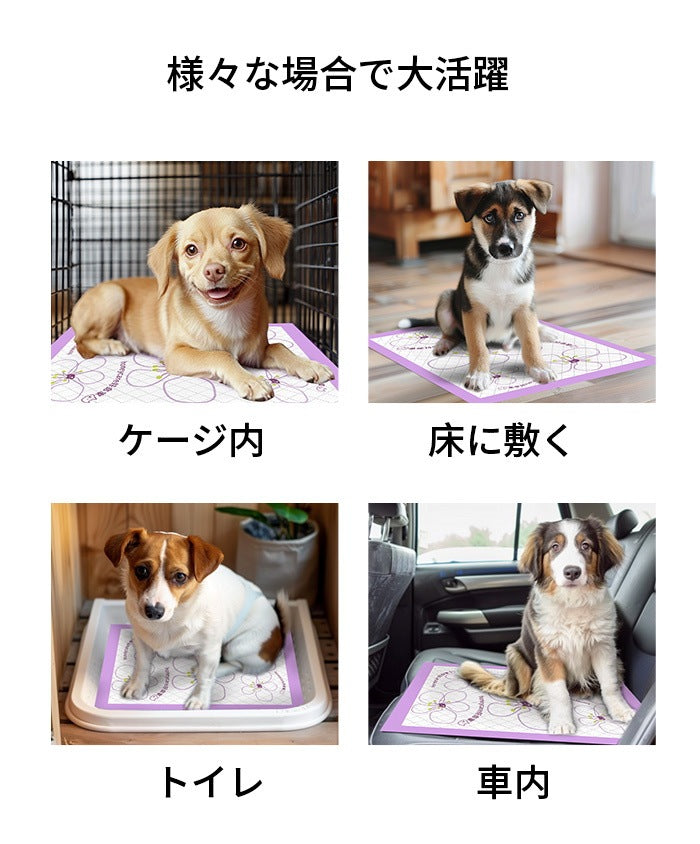 <a href="https://www.qoo10.jp/gmkt.inc/Search/brand.aspx?brandno=109151" target="_blank" class="title_brand" id="btn_brand" title="Honeycare">Honeycare</a>ペットシーツ 薄型 うす型 横漏れ防止 ペットシート犬猫 サイズ選択可 レギュラー400枚 ワイド200枚 スーパーワイド100枚