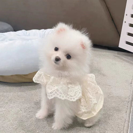 春夏新作 犬服 ペット服 犬 洋服 ペット 犬用品 小中型犬 犬 スカート 子犬 夏 春秋 服 ペット 小型犬 猫 薄い部分