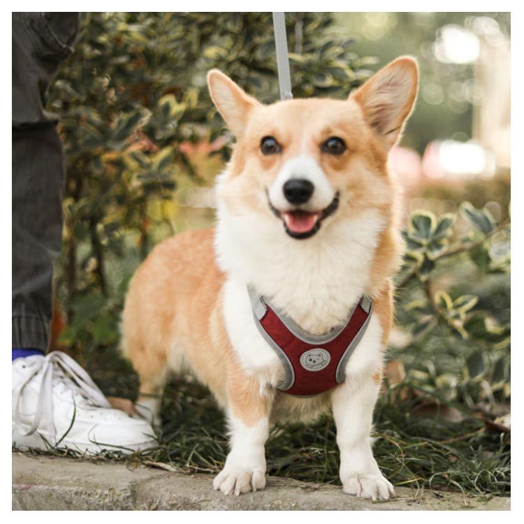 犬具 ハーネスリードセット 小型犬 ドッグ メッシュ ハーネスリード dog ベスト型 胴輪 犬用