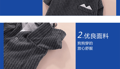 【輸送費無料】結婚式に出席するペットの猫の服夏のハンサムな犬BichonPuppet猫の薄いスーツテディスーツのド