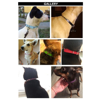 犬 ドッグ ペット 猫 キャット 首輪 服 小型犬 ペットグッズ 中型犬 合皮 レザー