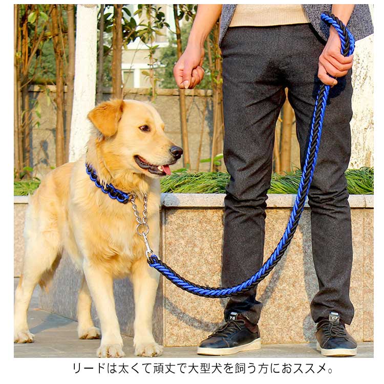送料無料 リード 首輪 2点セット 犬 首輪セット リードセット 小型犬 中型犬 大型犬 太く 頑丈 丈夫 犬用リード 極太 編み紐 噛み癖 防止 ドッググッズ 散歩 お出かけ しつけ ペット ペット