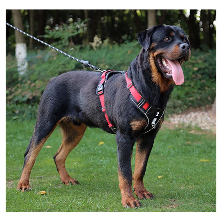 簡単着脱 大型犬 犬用 犬用ハーネス 犬 犬ハーネス 小型犬 胴輪 犬具 中型犬 ネコ ウェアハーネス 犬用ハーネス ハーネス 抜けない 一体型 反射 ハーネス かわいい ハンドル付 調節可能 引っ張