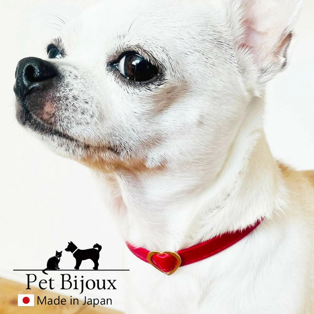 <a href="https://www.qoo10.jp/gmkt.inc/Search/brand.aspx?brandno=121124" target="_blank" class="title_brand" id="btn_brand" title="MELODY ACCESSORY">MELODY ACCESSORY</a>犬用 ネックレス ドッグアクセサリー 日本製 首輪 チョーカー 送料無料 調節可能 犬 いぬ ねこ 猫 ペット シンプル 小型犬 中型犬 かわいい おしゃれ トイプードル