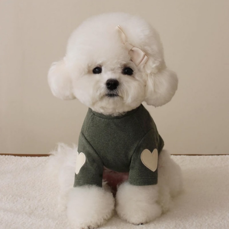 春夏新作 犬服 ペット服 犬 洋服 ペット 犬用品 小中型犬 春秋セーター犬猫ペット愛刺繍暖かい服