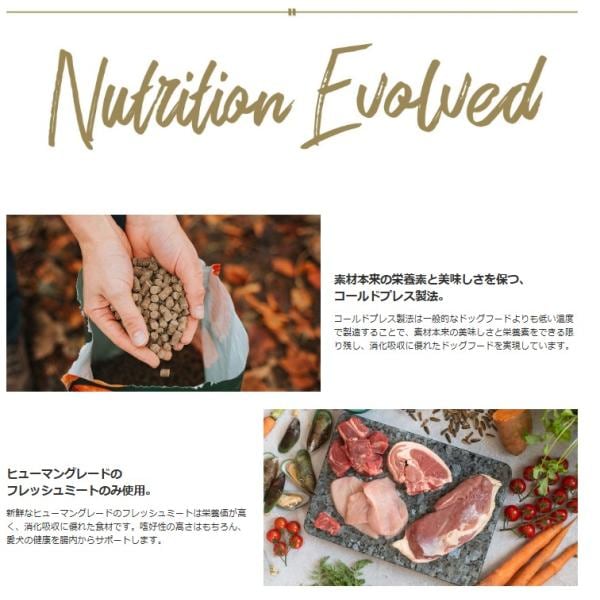 TRIBAL トライバル フレッシュチキンドッグフード 400g 犬 餌 低アレルギー 低アレルゲン 低温調理 コールドプレス