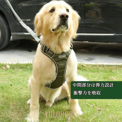 大型犬 伸縮リード 犬用 おしゃれ 散歩リード 持ちやすい 大型犬 弾力設計 リード 中型犬 中型犬 ソフトハンドル 車載用 反射機能 ドッグ訓練リード