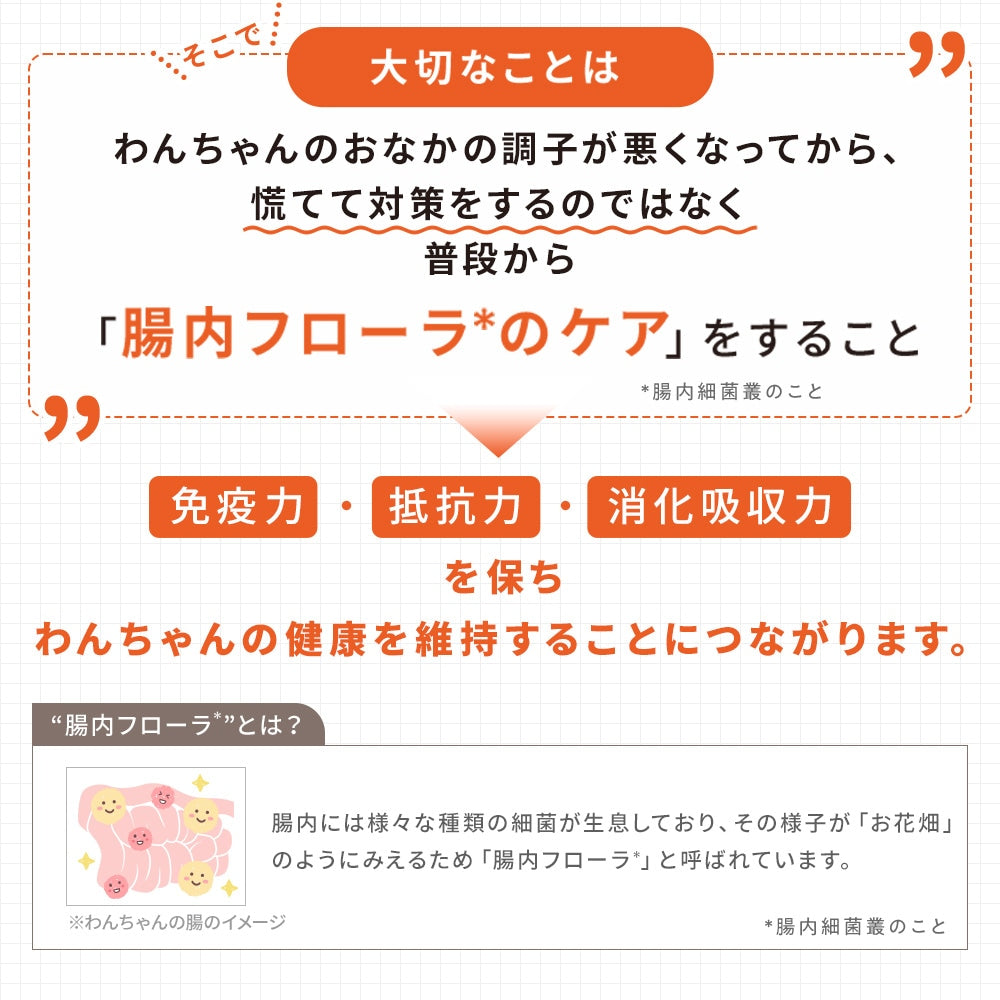 <a href="https://www.qoo10.jp/gmkt.inc/Search/brand.aspx?brandno=62316" target="_blank" class="title_brand" id="btn_brand" title="大正製薬">大正製薬</a>【公式】大正製薬 わんビオフェルミンS 40g 犬 サプリ サプリメント 腸活 免疫力 健康維持 ビフィズス菌 乳酸菌 犬サプリ イヌ 犬用 ペット 腸活サプリ 無添加 ふりかけ 粉 腸内環境