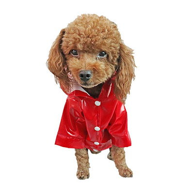 犬 レインコート レインウェア 小型犬 中型犬 子犬 ドッグウェア 夜間反射 雨具 人気沸騰 カッパ 犬服 フード付き 透明 雨の日 防水 梅雨対策 リング付き