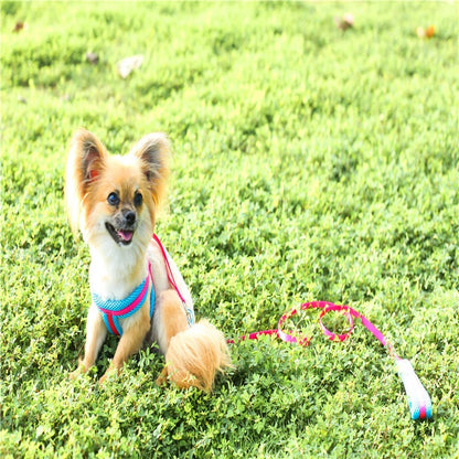 ハーネスリードセット お出かけ ネコ用ハーネス 犬 軽量 胴輪 ペット用品 55 2点セット リード 中型犬 小型犬 シンプル お散歩 犬用 ハーネス 簡単装着 リーシュ 犬用ハーネス 猫用 ペットハ