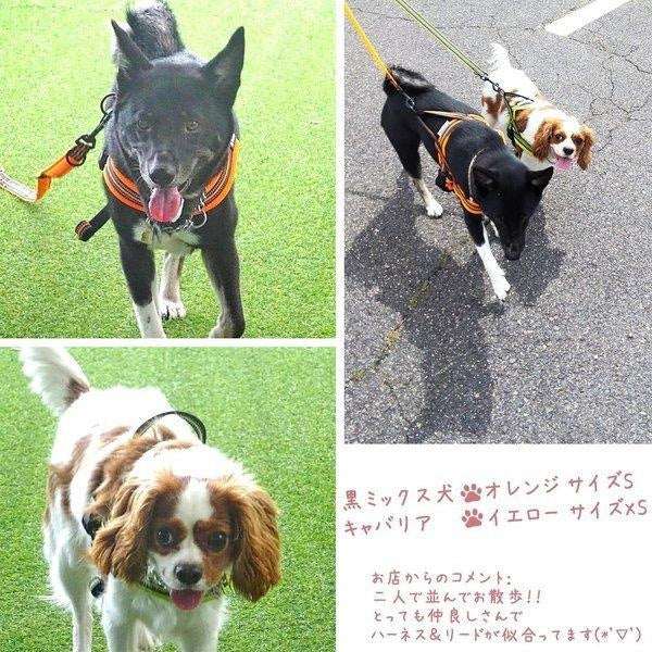 犬 ハーネス 犬用 ハーネス Truelove ブランド 胴輪 ソフトパッド 簡単装着 快適 スポーツハーネス 超大型犬 大型犬 小型犬
