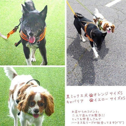 犬 ハーネス 犬用 ハーネス Truelove ブランド 胴輪 ソフトパッド 簡単装着 快適 スポーツハーネス 超大型犬 大型犬 小型犬