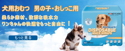 <a href="https://www.qoo10.jp/gmkt.inc/Search/brand.aspx?brandno=109151" target="_blank" class="title_brand" id="btn_brand" title="Honeycare">Honeycare</a>ペットシーツ 薄型 ペットシート　犬猫 サイズ選択可 レギュラー 800枚 ケース販売