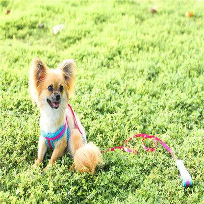 ハーネスリードセット お出かけ ネコ用ハーネス 犬 軽量 胴輪 ペット用品 55 2点セット リード 中型犬 小型犬 シンプル お散歩 犬用 ハーネス 簡単装着 リーシュ 犬用ハーネス 猫用 ペットハ