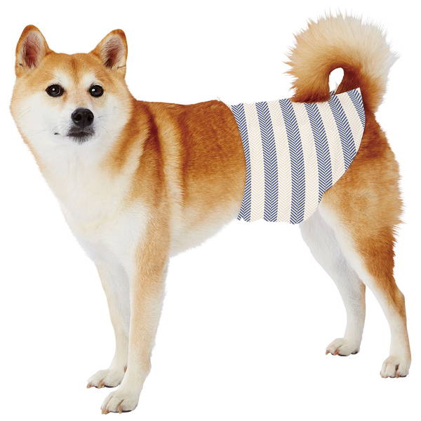 <a href="https://www.qoo10.jp/gmkt.inc/Search/brand.aspx?brandno=66334" target="_blank" class="title_brand" id="btn_brand" title="ペティオ">ペティオ</a>犬用オムツ frais フレス たっぷり吸収するエチケットパンツ 男の子用おむつ L 12枚 中型犬 短毛犬長毛犬 シーツ エチケットウェア Petio W27227