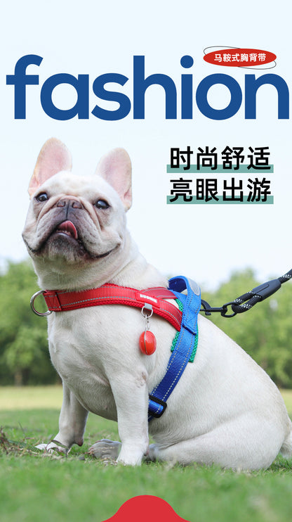熱い販売のペット胸および背部サドルの爆発証拠の穿孔器 快適な子犬の胸の馬具の屋外の犬の鎖の色ブロックの夏