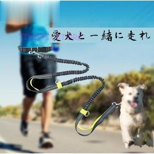 牽引ロープ ウエストベルト 犬用リード 伸縮 小中型犬 リード 弾力性が高く 腰ベルト付き 散歩用 反射機能付き ハンズフリー