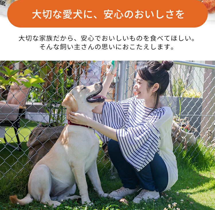 <a href="https://www.qoo10.jp/gmkt.inc/Search/brand.aspx?brandno=49458" target="_blank" class="title_brand" id="btn_brand" title="アイリスオーヤマ">アイリスオーヤマ</a>【3袋セット】犬 ジャーキー ソフト おやつ ささみ ガム ミルク 骨型 牛皮 無着色 まるごと肉巻き ミルクガム ミニ アイリスオーヤマ P-IJ-G メガ割