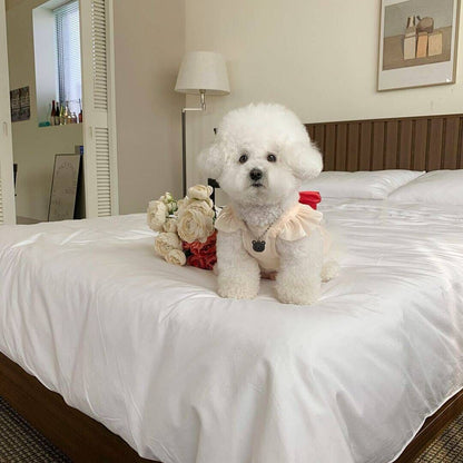 ペット服春夏 ペットウェア かわいい 犬猫フライスリーブリボンワンピース糸スカートテディビション小型犬服
