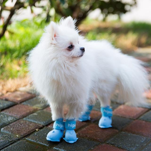 ペット用品 犬の靴 ドッグシューズ 靴下 1セット4個入り 肉球保護 滑り止め 履かせやすい 散歩 ソフト ブーツ 履物 犬靴下 ブーティ