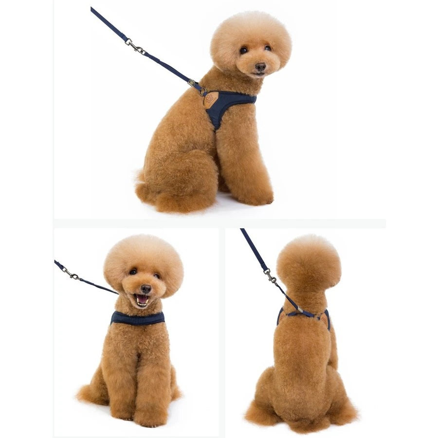 ハーネスリード ペット用品 犬 小型犬 2点セット お散歩 お出かけ アウトドア カジ