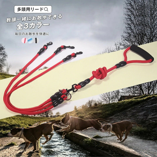 15日間のみ 多頭用リード 多頭飼い 多頭お散歩リード 犬用リード お散歩リード リード スタイリッシュ ワンタッチ 犬 イヌ 小型犬 中型犬 大型犬 カラー展開豊富 全3カラー 小型犬用 中型犬用